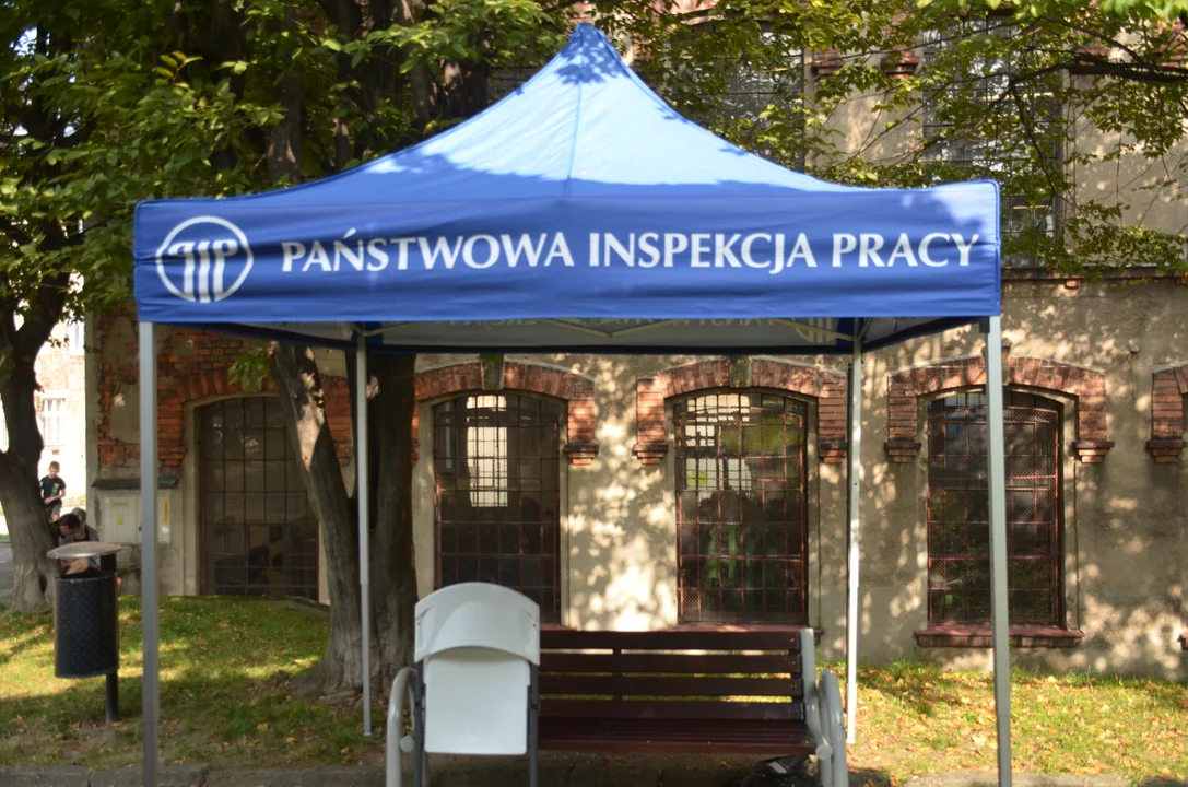 PIP z nowymi uprawnieniami. Przedsiębiorcy zapłacą za pozorne umowy